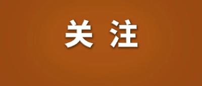 市政府常务会议召开