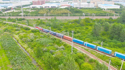 黄冈市中医药品牌三大工程擦亮李时珍金字招牌