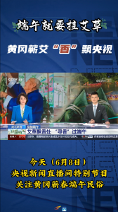 端午就要挂艾草，黄冈蕲艾“香”飘央视