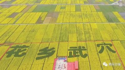 多举措推动实现良好开局—— 武穴消费市场活力绽放