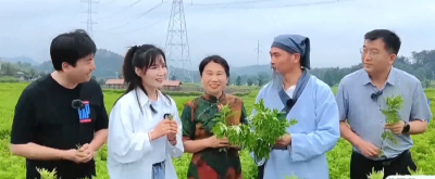 《好山好水好物产》—蕲春篇