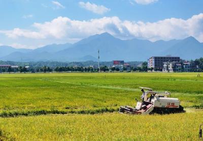 全国夏播粮食进度过半 已播2.7亿亩，进度快于往年