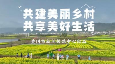 黄冈市乡村振兴主题公益广告《十年》发布