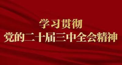 二十届三中全会决定解读｜为中国式现代化提供强大动力和制度保障——从党的二十届三中全会决定看进一步全面深化改革聚力攻坚