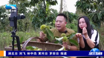 我市五种食品获评“湖北省最受欢迎的十大森林食品”
