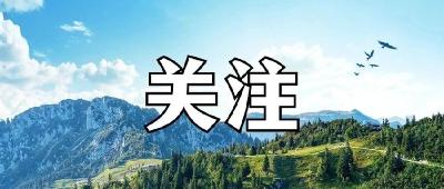 92亿元！湖北又一高速公路获批