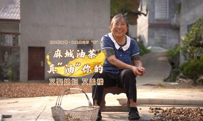 #秋天的画卷 #黄冈 又娶媳妇 又盖楼！麻城油茶 真“油”你的！