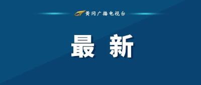 黄冈市人民政府办公室关于印发加快推进农业产业化发展若干措施的通知