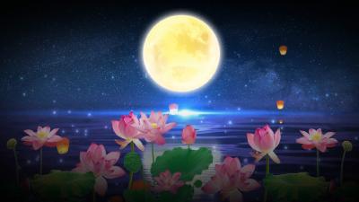 听取蛙声一片