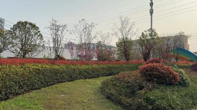 市园林绿化服务中心匠心扮靓一城春色