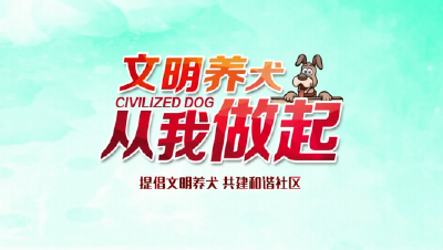 《文明养犬 从我做起》