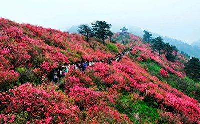 麻城文旅项目抱团营销闯市场