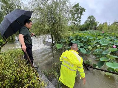 浠水县城市管理执法局全力以赴守护城市安全