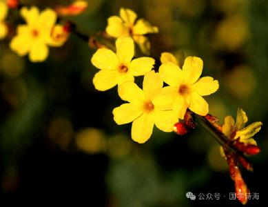 黄梅供电退休干部两首诗作选登《国学诗海》