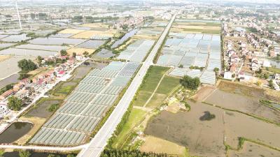 田间之变 ——黄梅县分路镇“小田并大田”焕发乡村新活力