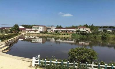 永佳河镇统筹规范农村建房风格