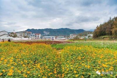 央视探访英山魅力新乡村