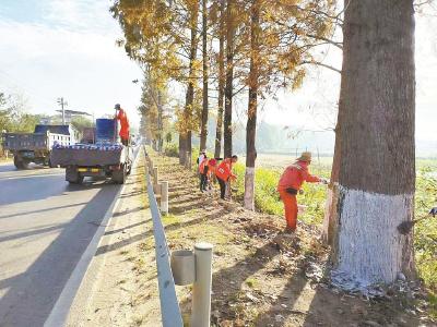 浠水县公路事业发展中心对辖区内8条国省干线的行道树进行刷白