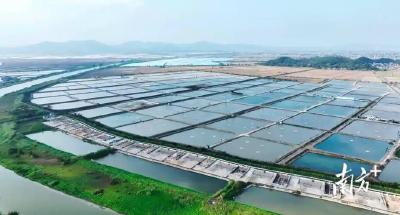 麻城市财政局助力发展水蛭养殖带动村民致富