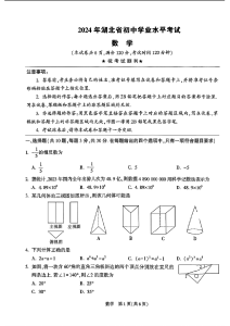 一树繁花一树春——2024年湖北省中考作文题解析