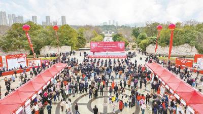 5.3%见证的“升”与“降”