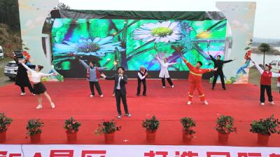 第十一届湖北·麻城茶花文化旅游节开幕