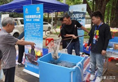 黄冈白莲青背胖头鱼畅销武汉市场