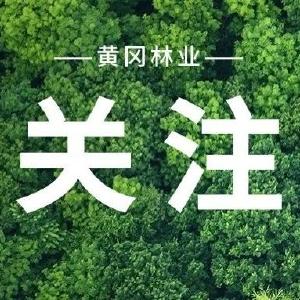 市发改委关于动态调整黄冈市市直行政事业性收费清单的公告