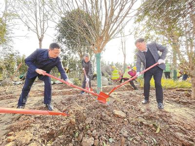 “植”此青绿 共“树”新晖——市直25家单位开展义务植树活动