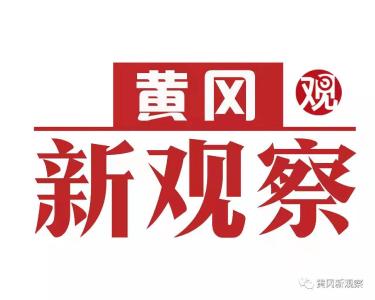 【黄冈新观察】浠水：深化蛋鸡产业供应链建设 打造强县富民支柱产业