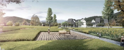 “绿色药方”助每亩增收4000元 我省研发全国首款黄连专用生物菌肥