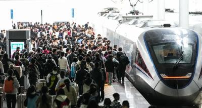 在发展中固安全，在安全中谋发展  ——论学习贯彻党的二十届四中全会精神 