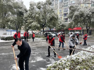 市生态环境局开展“我为群众办实事扫雪除冰清障活动”