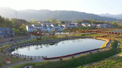 九业联珠 全域飘香  ——罗田县白庙河镇特色产业发展见闻