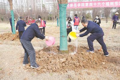 播下绿色希望