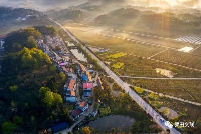 “一路生花”醉游客