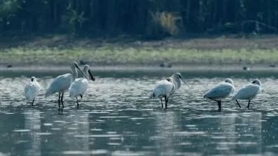 浠水县做实河湖治理长效机制——水变绿了 河变清了
