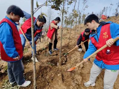 浠水县生态环境分局开展“学雷锋 文明实践我行动”义务植树活动