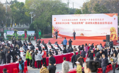 新形式 新亮点 新成效 我市国家宪法宣传日 活动精彩呈“宪”