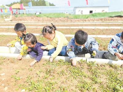 在共享菜园里“挖呀挖呀挖”