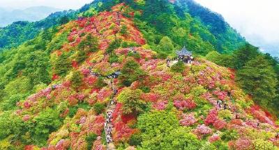 棚外寒风棚里春