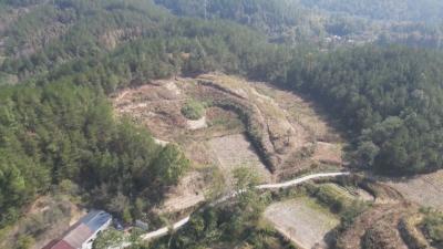 《聚力建支点 夺取开门红》 罗田 ：中药材从“土特产”迈向“金招牌”