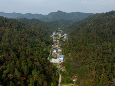 聚势突破勇争先——湖北加快建成中部地区崛起重要战略支点