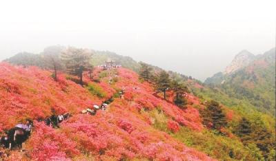 流量变“留”量 出圈又出彩