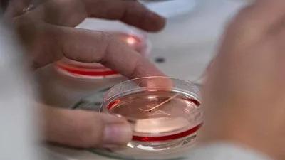 新人工智能模型可精确预测人体细胞基因表达