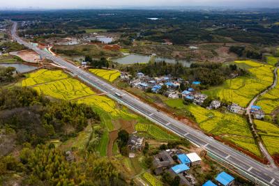 大年初一全国道路交通平稳有序