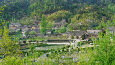 麻城金融监管部门做好农险服务助力乡村振兴