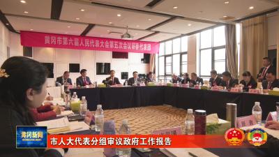 市人大代表分组审议政府工作报告