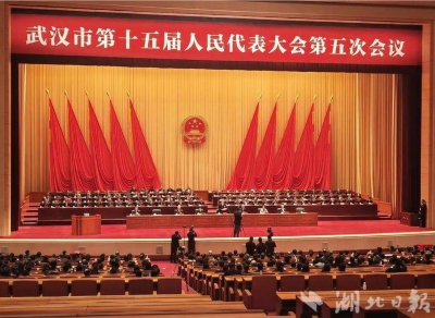 武汉将为全市孕妇提供无创产前基因筛查