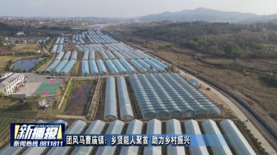 团风马曹庙镇：乡贤能人聚首 助力乡村振兴